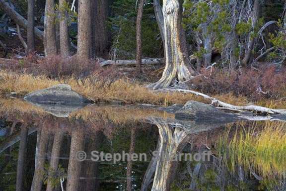 lakeshore reflections yosemite 6 graphic